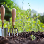 Lilac's Community Pharmacy programme