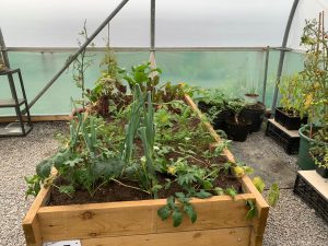 Coalisland Men's Shed